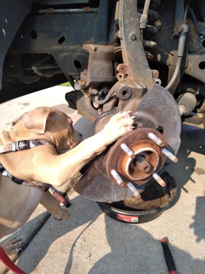 Images Brad's Automotive