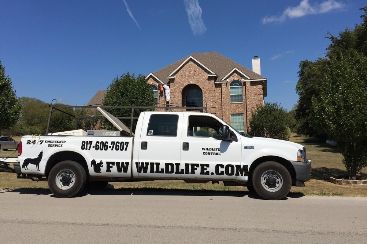 Images Dallas Fort Worth Wildlife Control