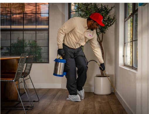 Images Phoenix Pest & Termite Control
