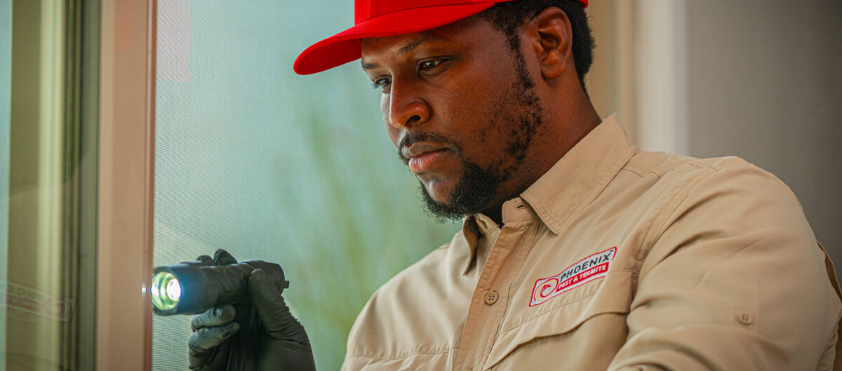 Images Phoenix Pest & Termite Control