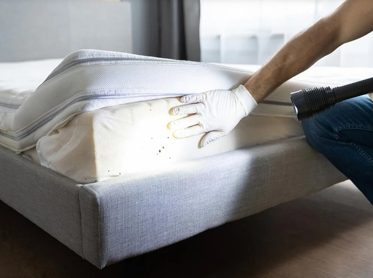 Images Greenway Pest Solutions