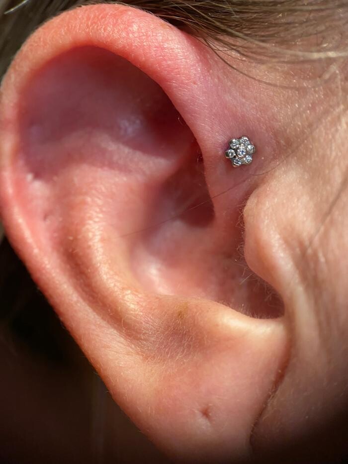 Images Club Tattoo | The LINQ Hotel & Casino