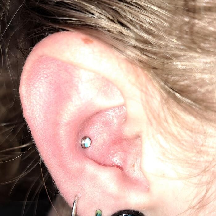 Images Club Tattoo | The LINQ Hotel & Casino