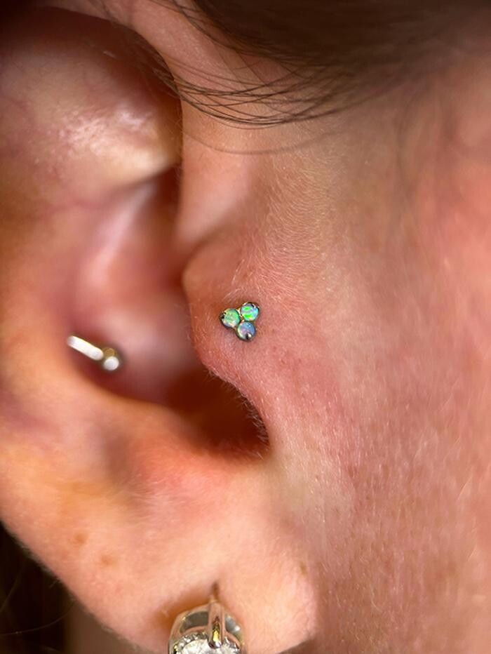 Images Club Tattoo | The LINQ Hotel & Casino