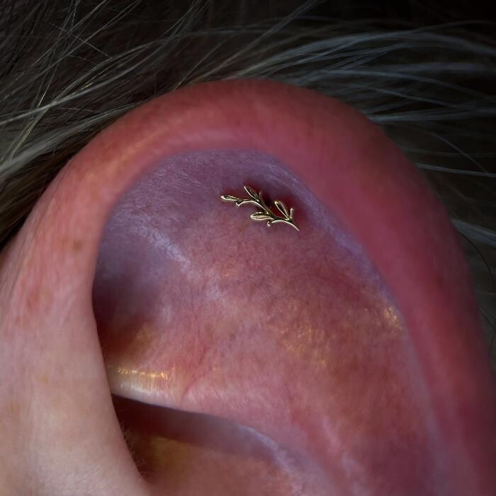 Images Club Tattoo | The LINQ Hotel & Casino