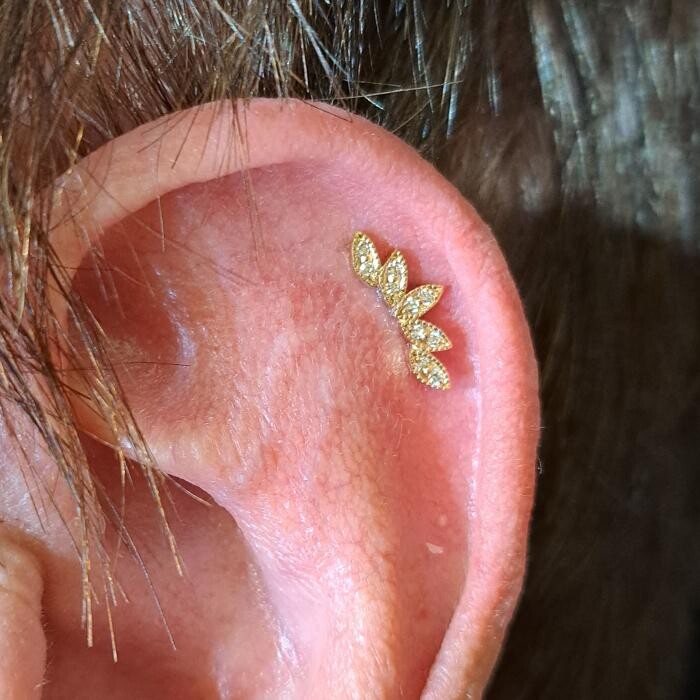 Images Club Tattoo | The LINQ Hotel & Casino