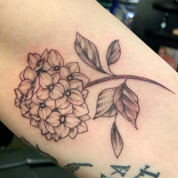 Images Club Tattoo | The LINQ Hotel & Casino