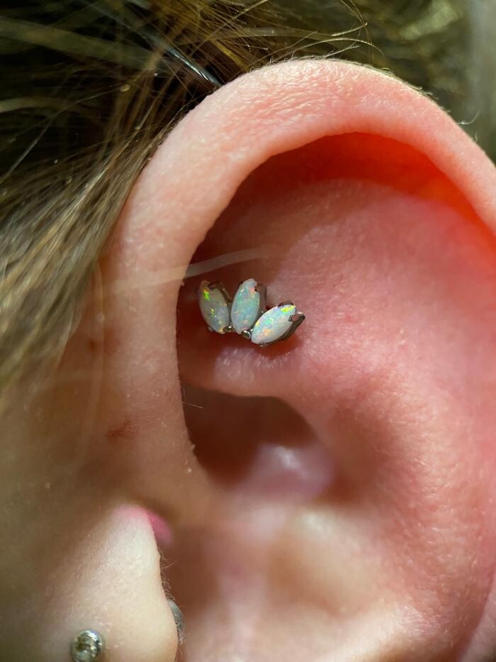 Images Club Tattoo | The LINQ Hotel & Casino