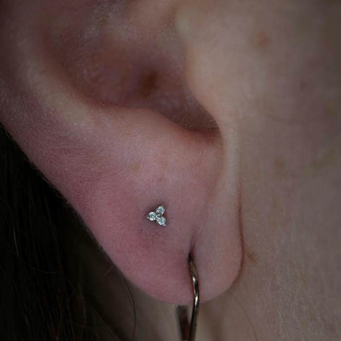 Images Club Tattoo | The LINQ Hotel & Casino