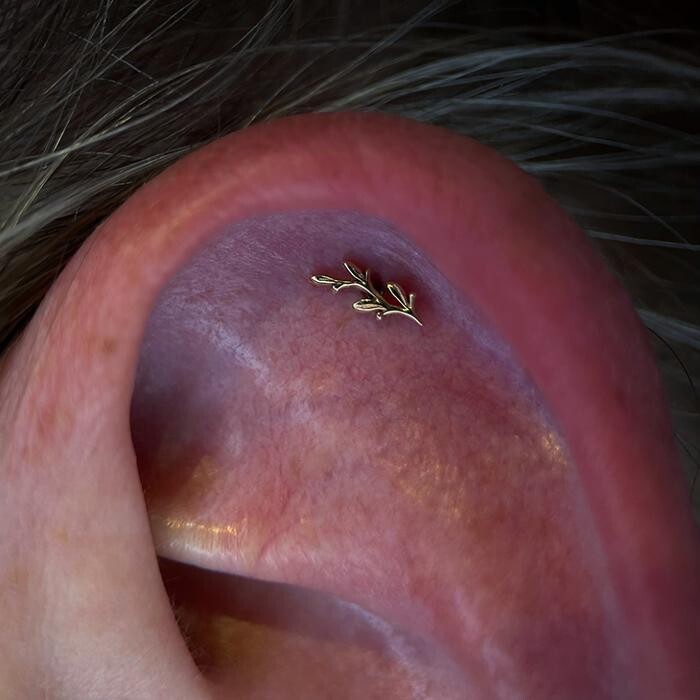 Images Club Tattoo | The LINQ Hotel & Casino