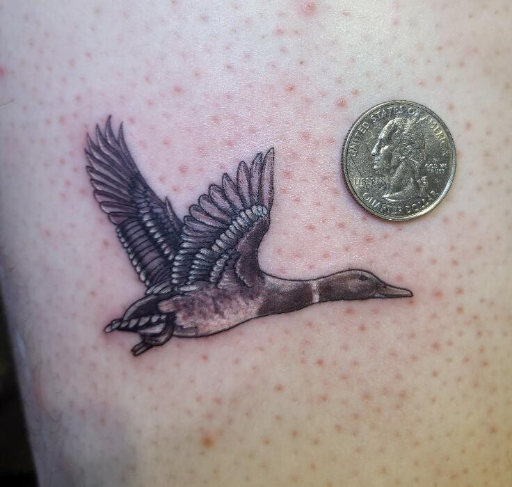 Images Club Tattoo | The LINQ Hotel & Casino