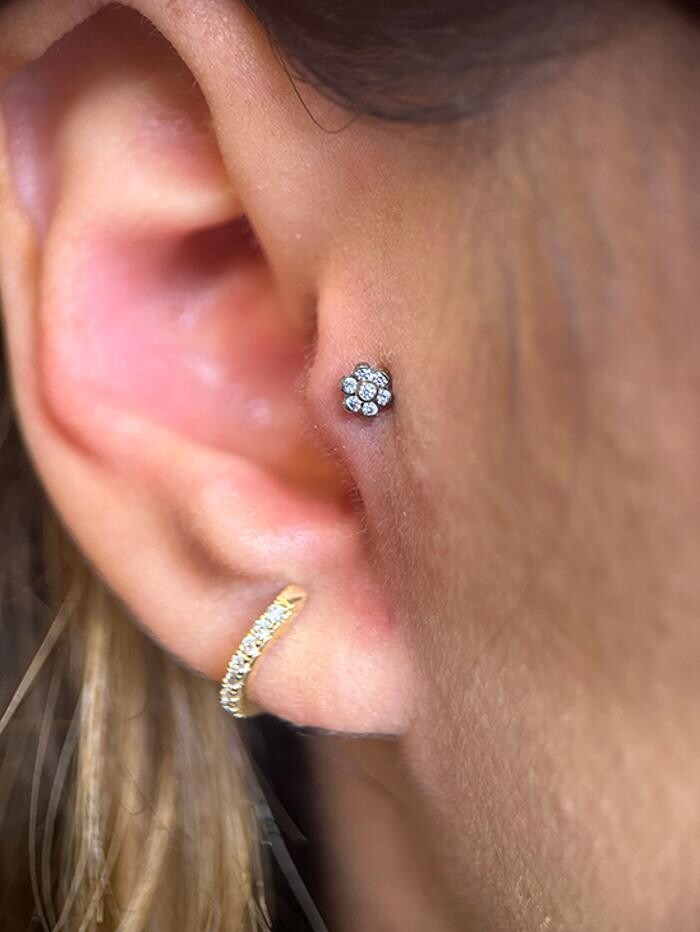 Images Club Tattoo | The LINQ Hotel & Casino