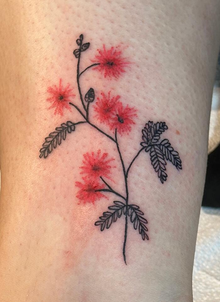 Images Club Tattoo