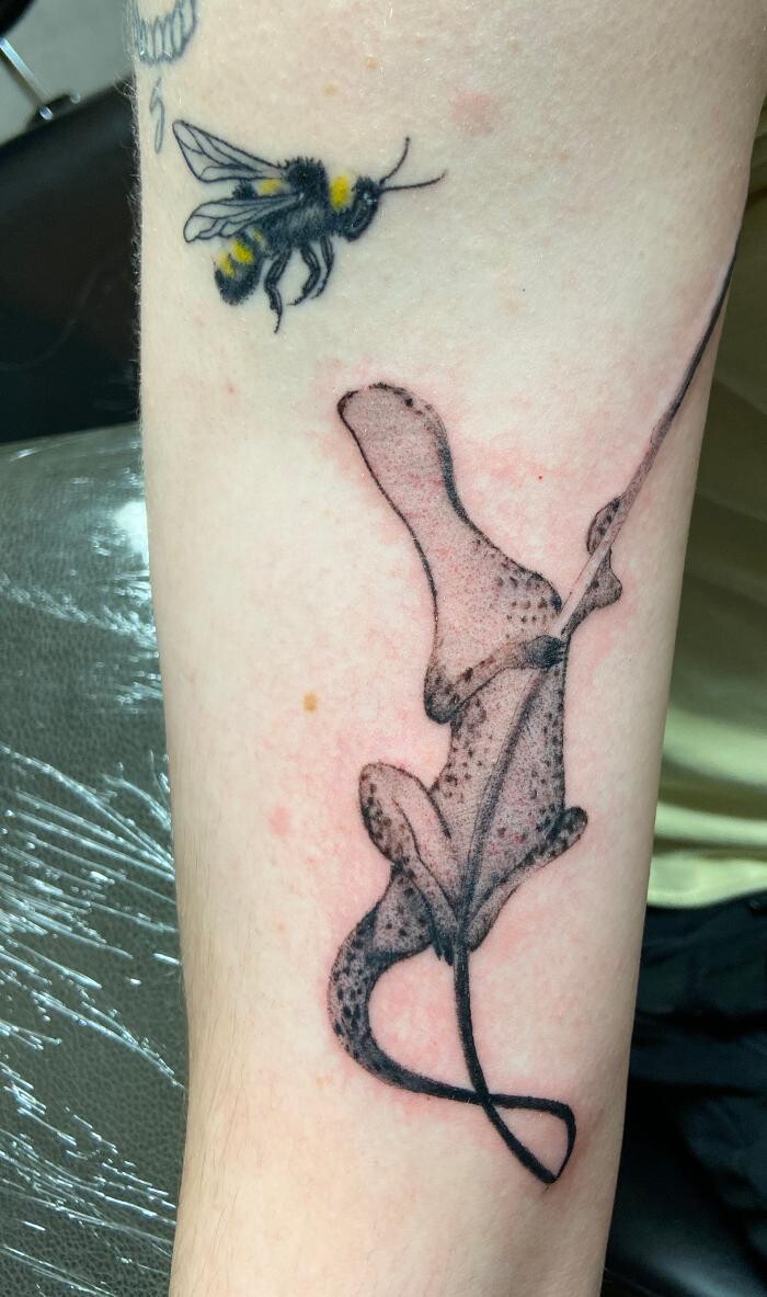 Images Club Tattoo