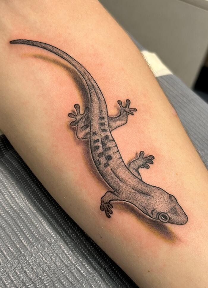 Images Club Tattoo