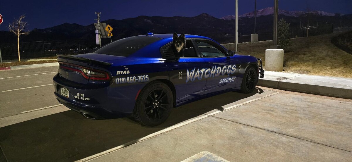 Images WATCHDOGS SECURITY