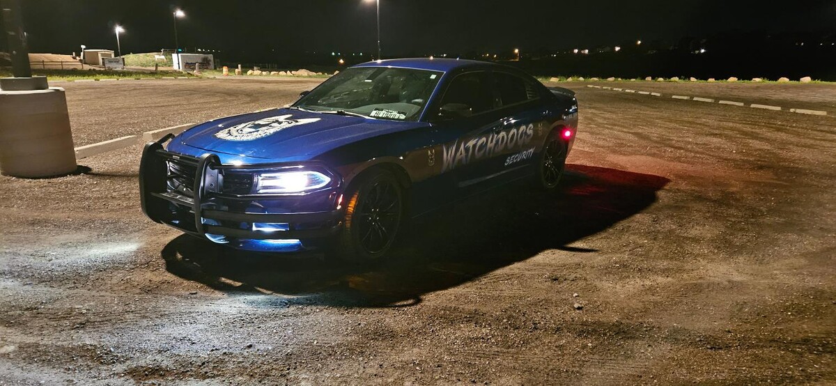 Images WATCHDOGS SECURITY