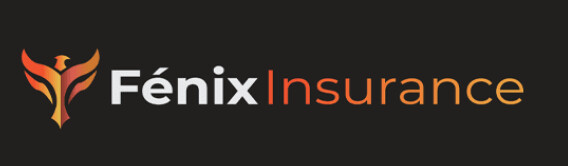 Images Fenyx Insurance
