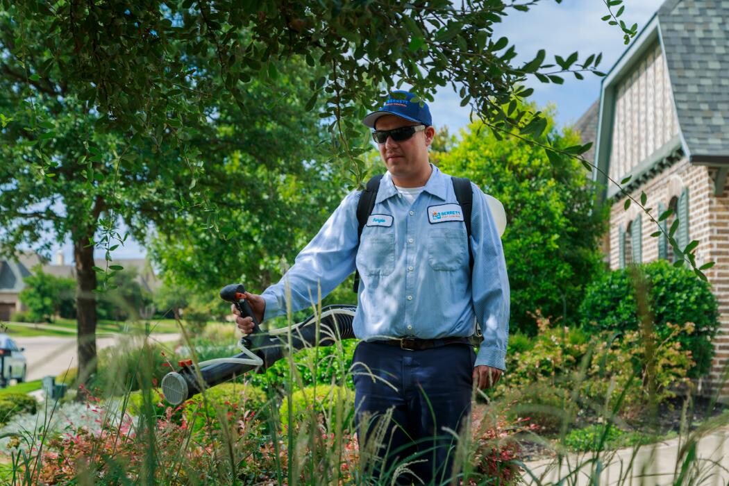 Images Berrett Pest Control