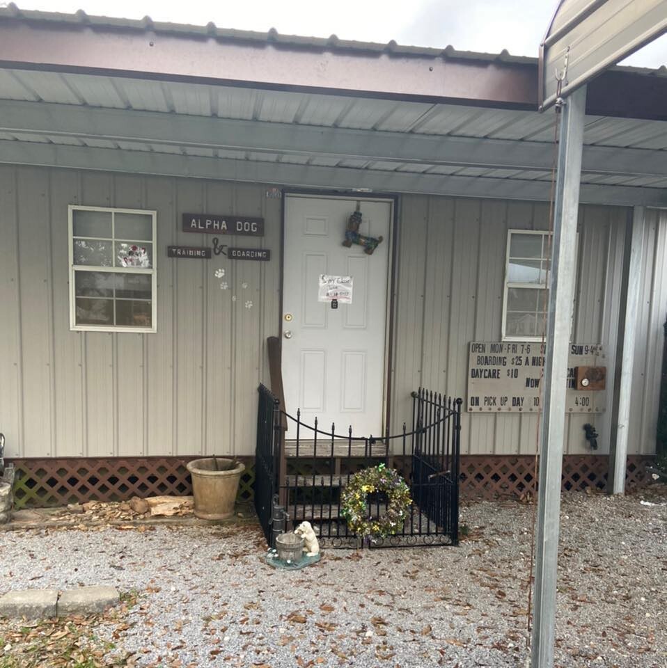 Images Alpha Dog Boarding and Doggie Day Care