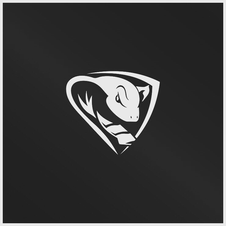 Cobra Shield Investigations Security and Training Logo