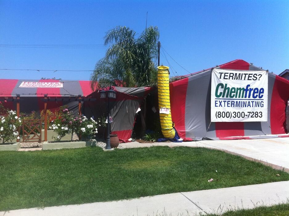 Images Chem Free Exterminating