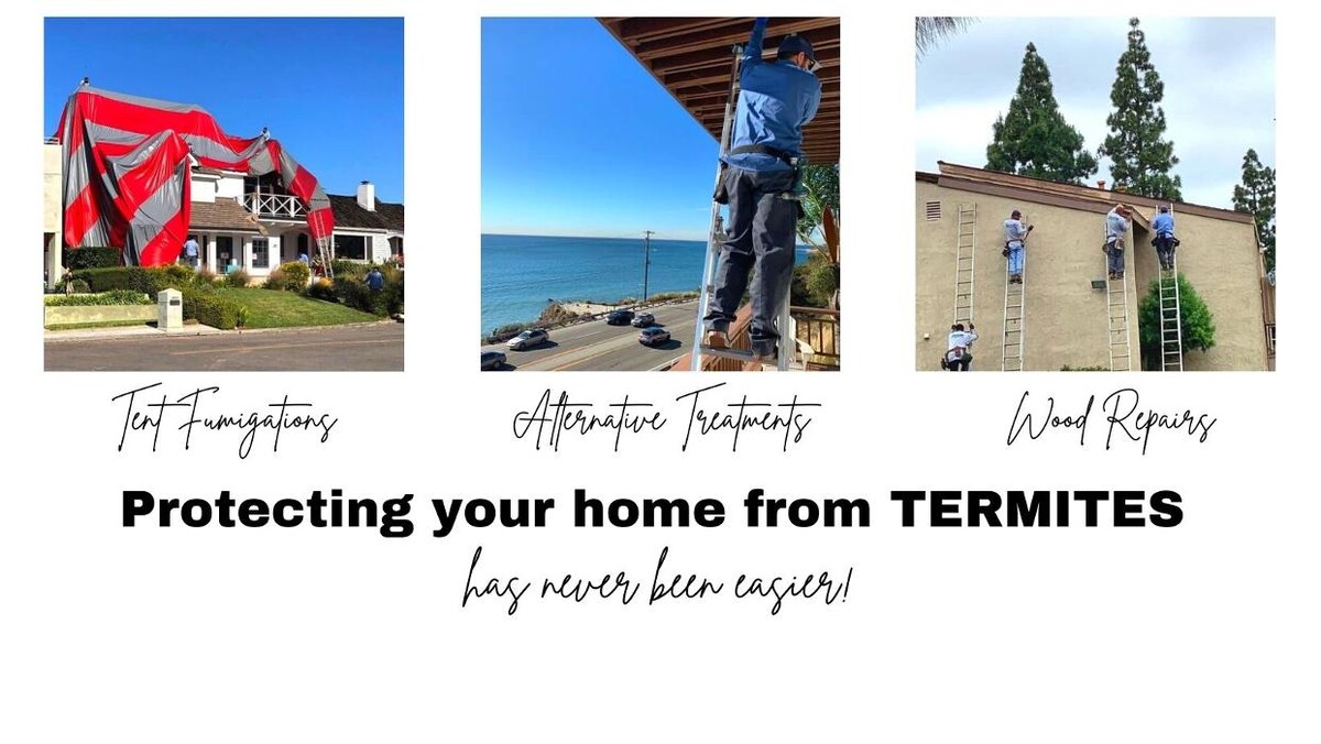 Images Chem Free Exterminating