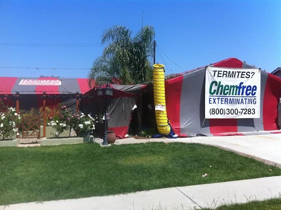 Images Chem Free Exterminating