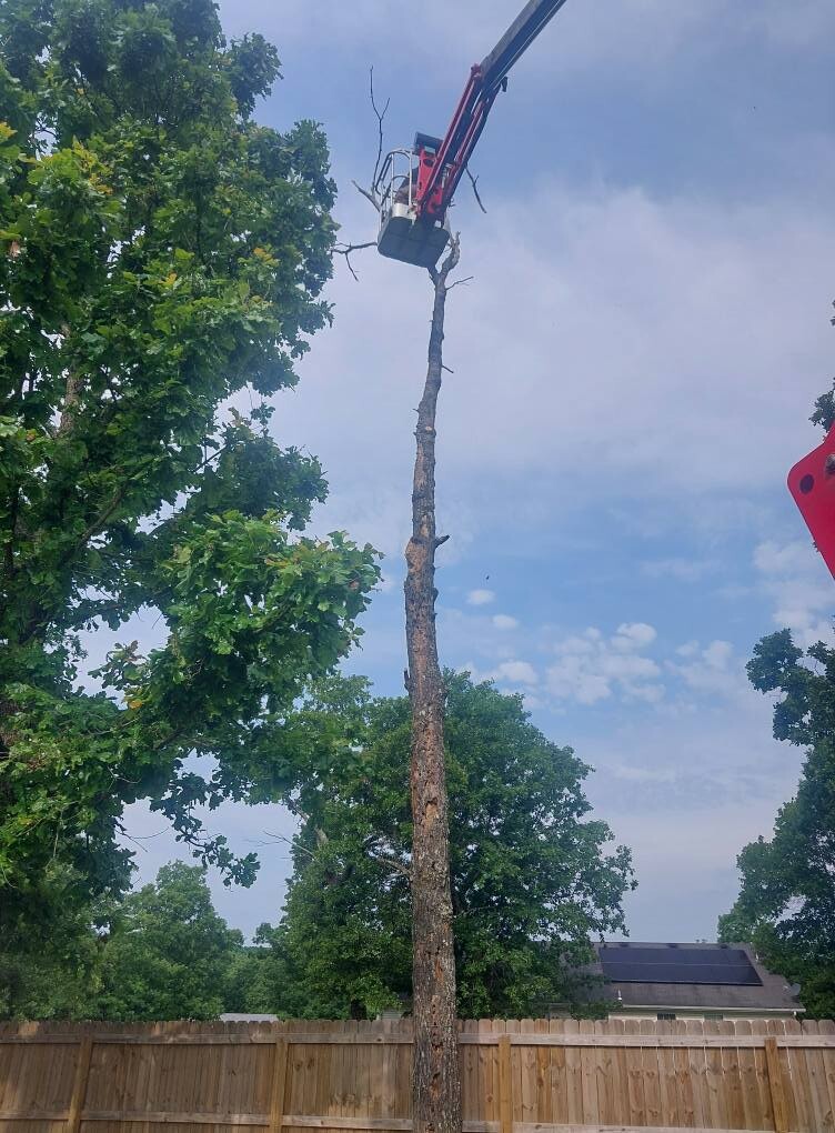 Images Get 'er Done Tree Service