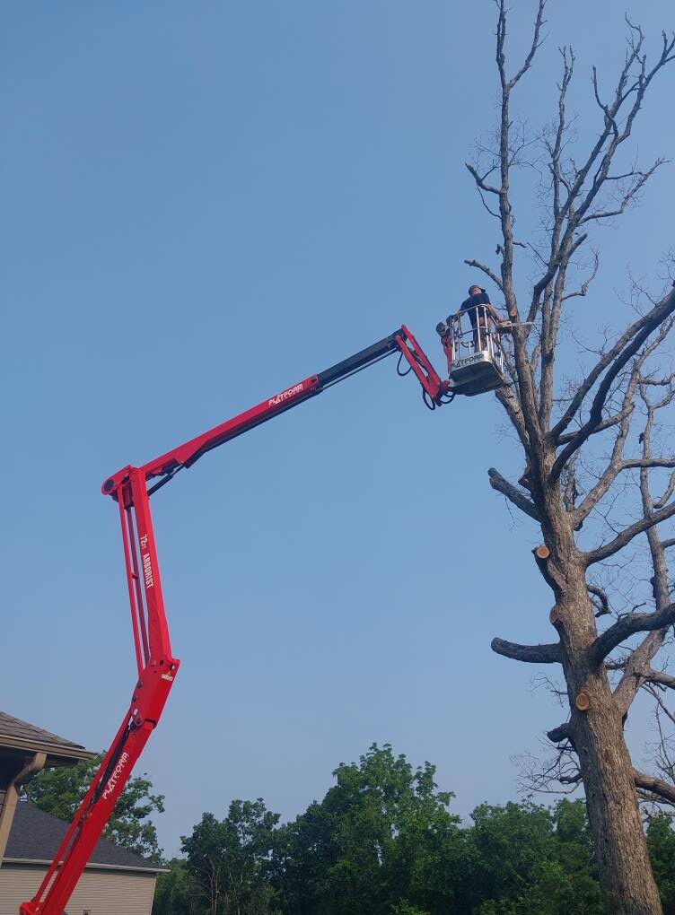 Images Get 'er Done Tree Service