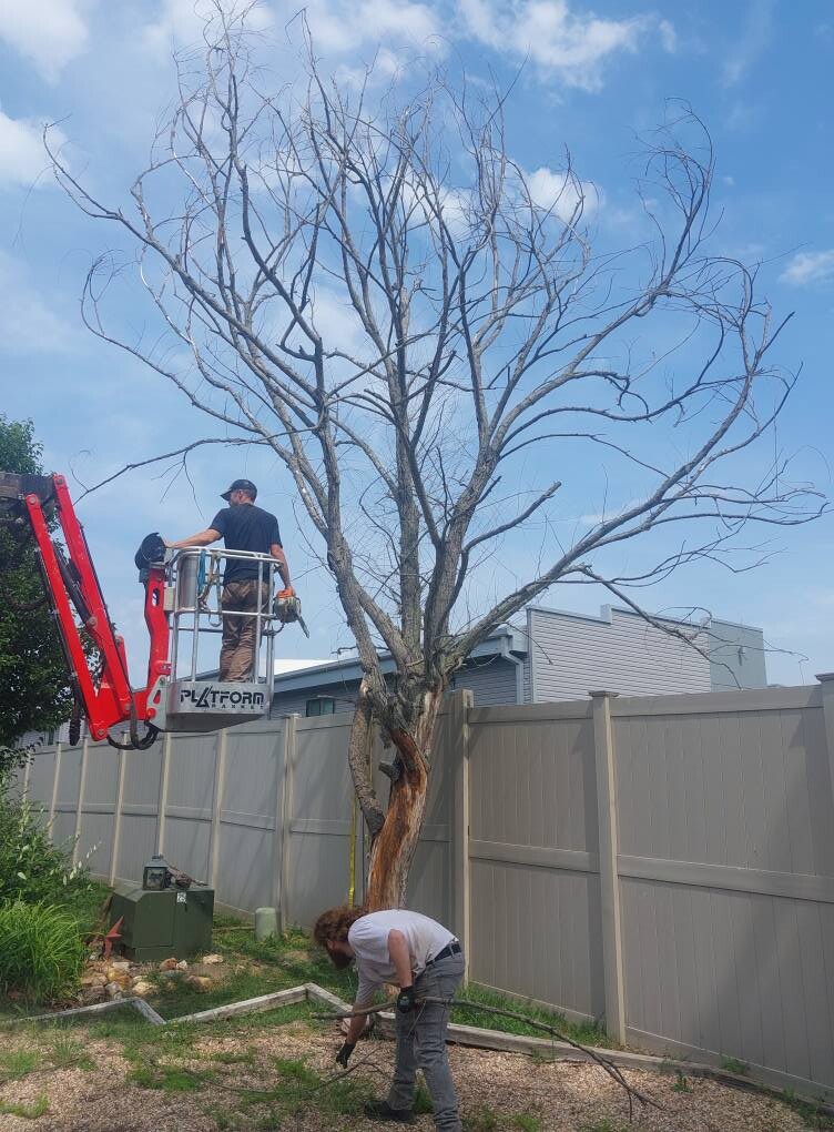 Images Get 'er Done Tree Service