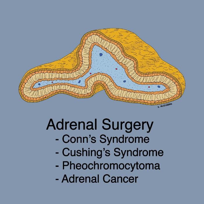 Images Steven E Rodgers, MD, PhD