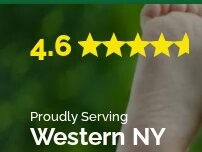 Website Screenshot Buffalo Lawn & Pest Services