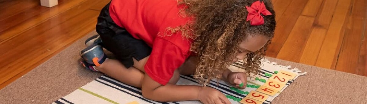 Images The Baltimore Montessori (Canton)