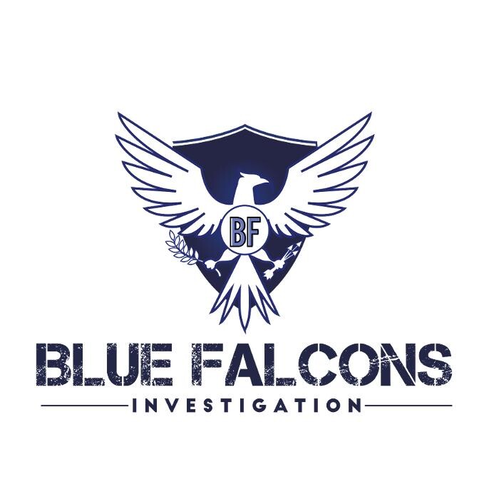 Blue Falcons Investigation Logo