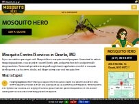 Website Screenshot Mosquito Hero