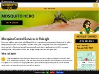 Website Screenshot Mosquito Hero