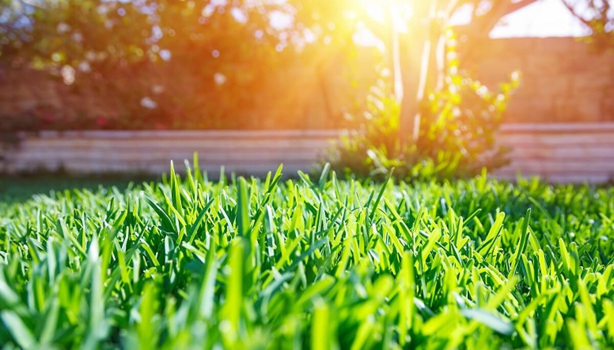 Images MOWTIVATED LAWN CARE LLC