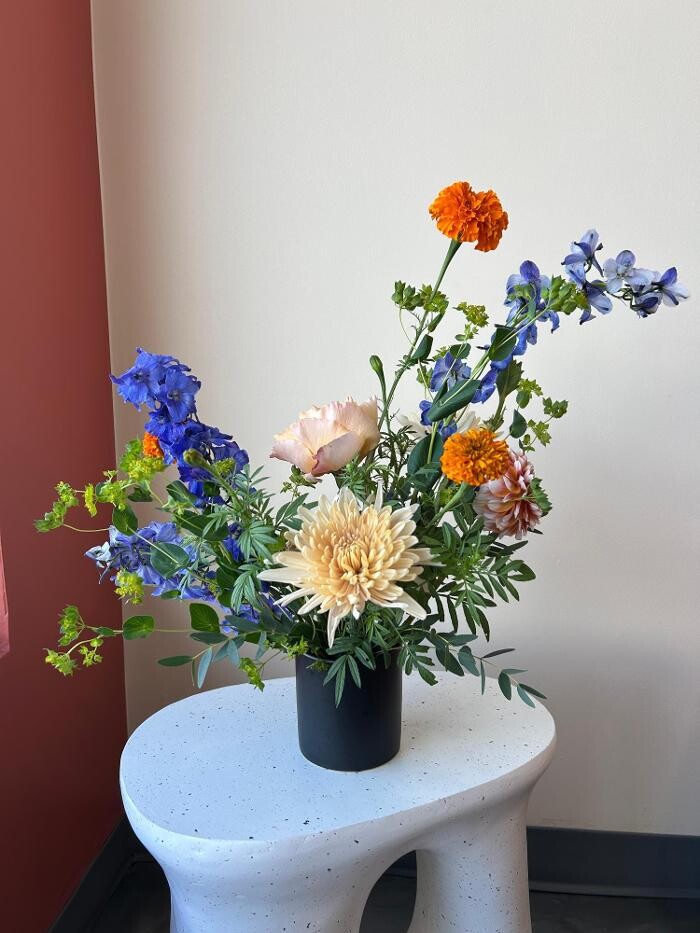 Images Bloom OV