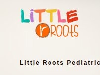 Website Screenshot Little Roots Pediatric Chiropractic