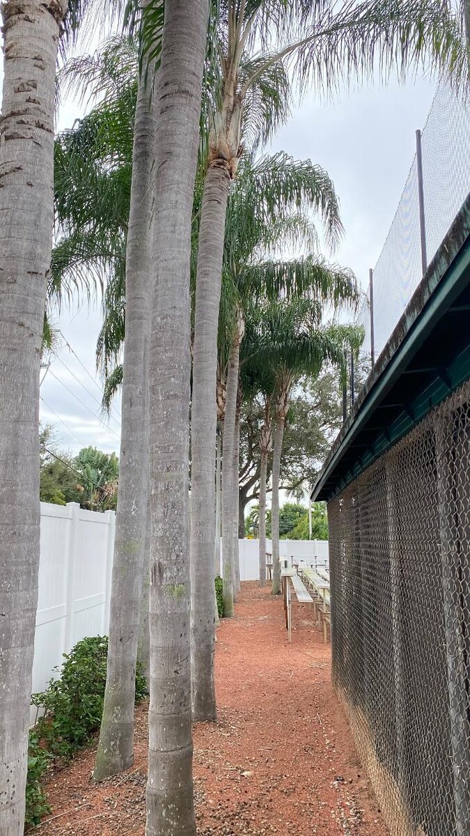 Images Northwest Exterminating - Pompano Beach
