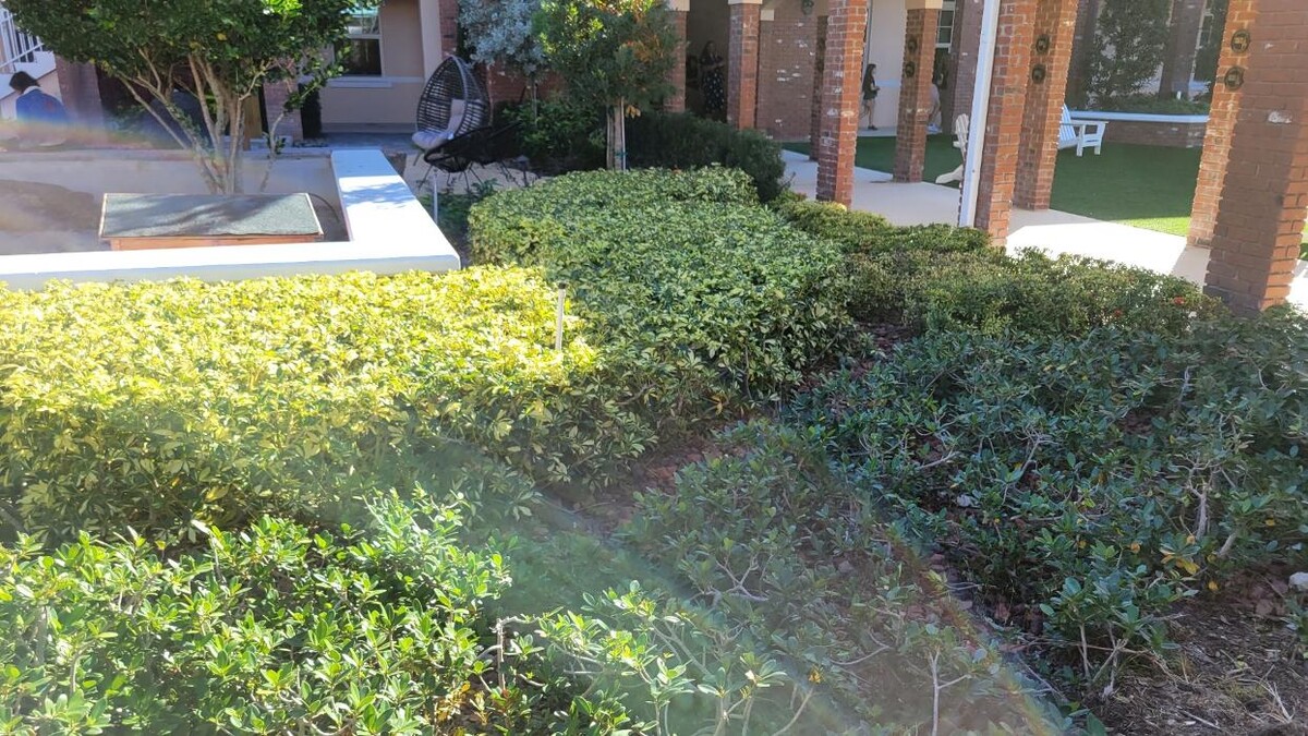 Images Northwest Exterminating - Pompano Beach