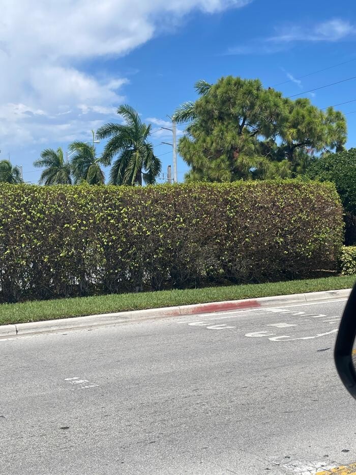 Images Northwest Exterminating - Pompano Beach