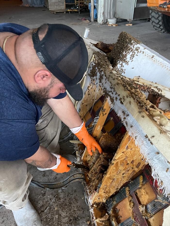Images Northwest Exterminating - Pompano Beach