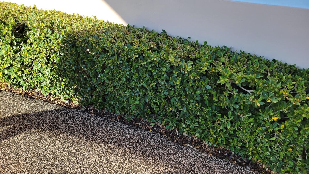 Images Northwest Exterminating - Pompano Beach