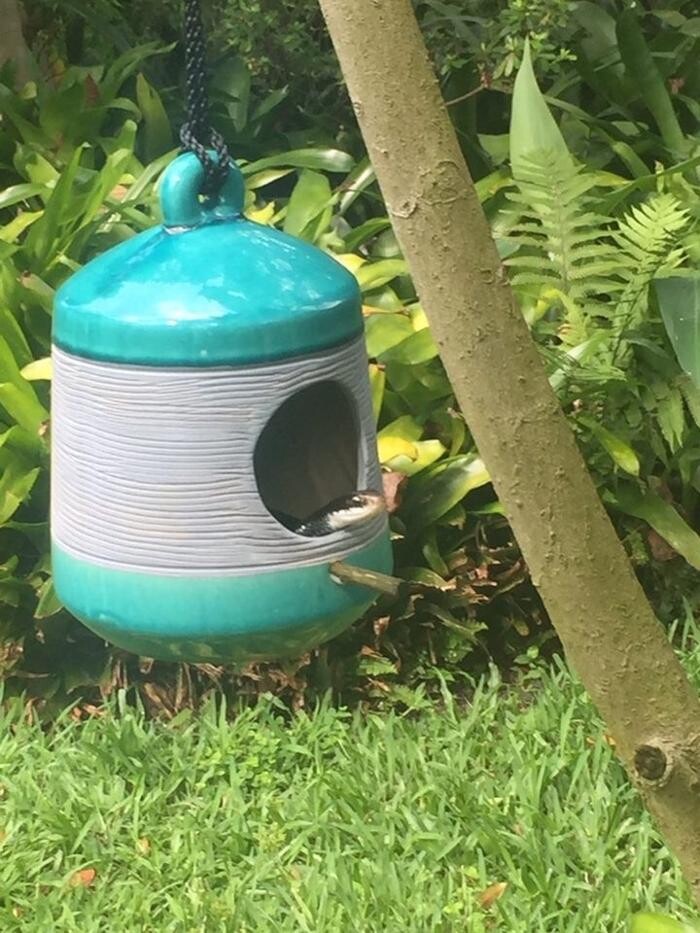 Images Critter Control