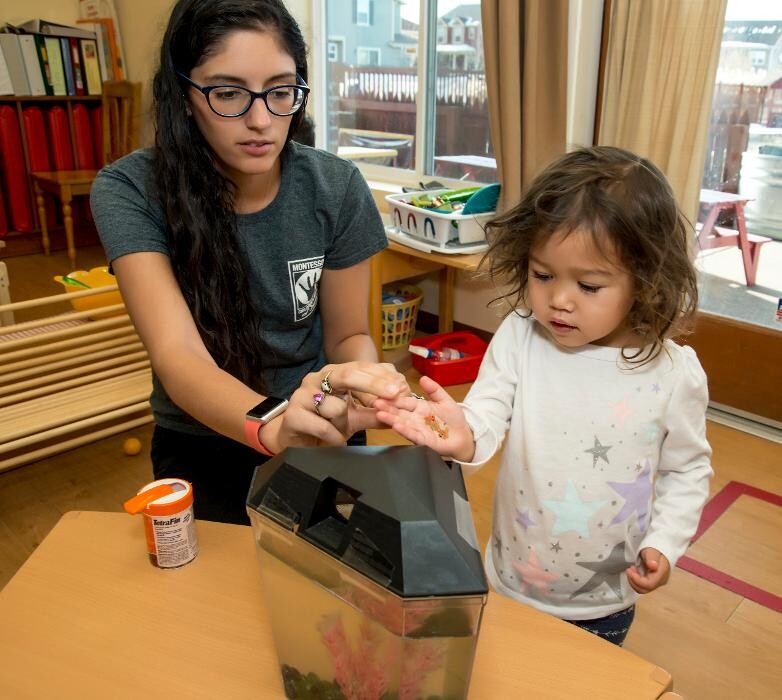 Images Montessori Children's House of Denver - Central Park