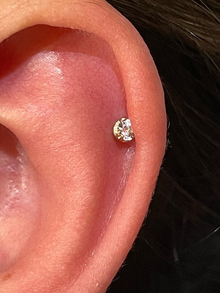 Images Club Tattoo | Planet Hollywood Las Vegas