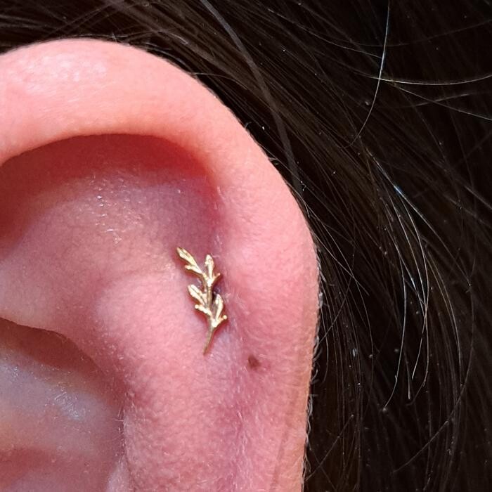 Images Club Tattoo | Planet Hollywood Las Vegas