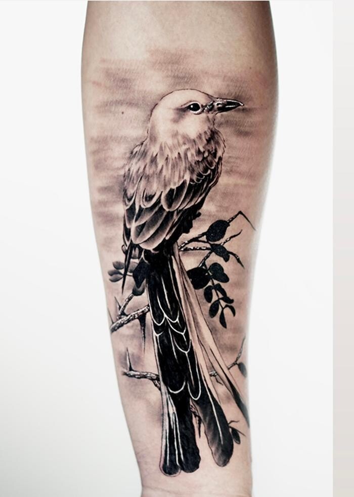 Images Club Tattoo | Planet Hollywood Las Vegas